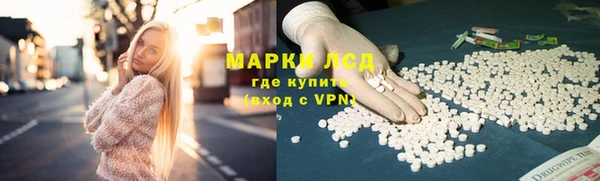 сатива Белоозёрский