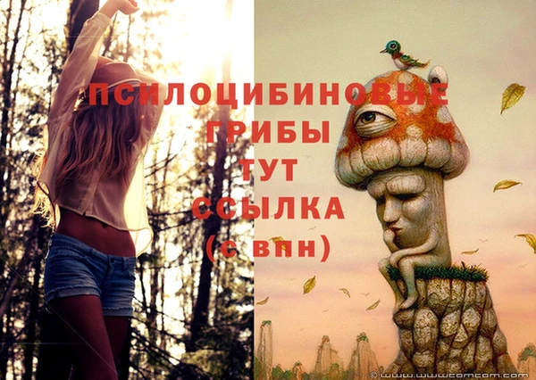 прущая мука Богданович