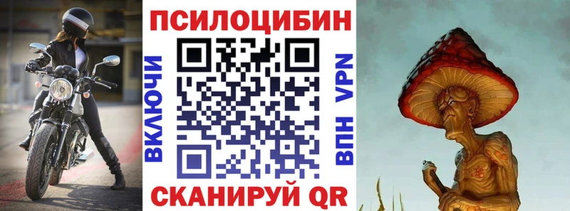 дарнет шоп  omg зеркало  Галлюциногенные грибы мухоморы  Дзержинский 